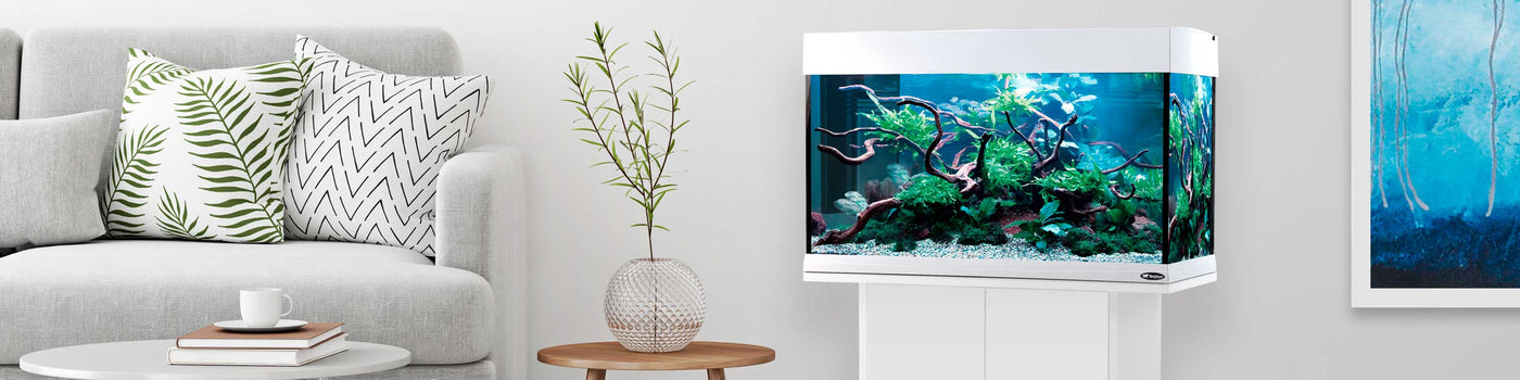 AQUARIUMS, FISH TANKS AND STANDS