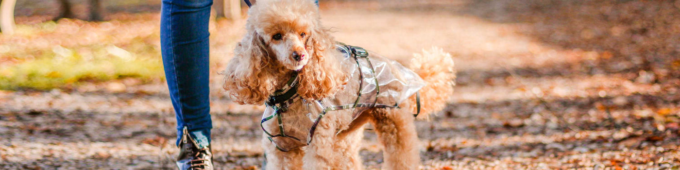 DOG RAINCOATS