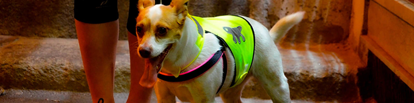 REFLECTIVE DOG COATS