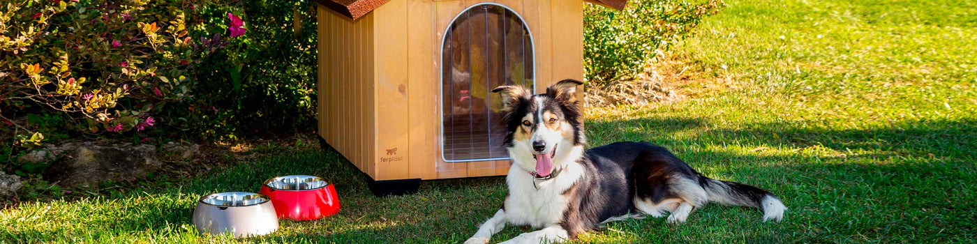 OUTDOOR DOG KENNELS