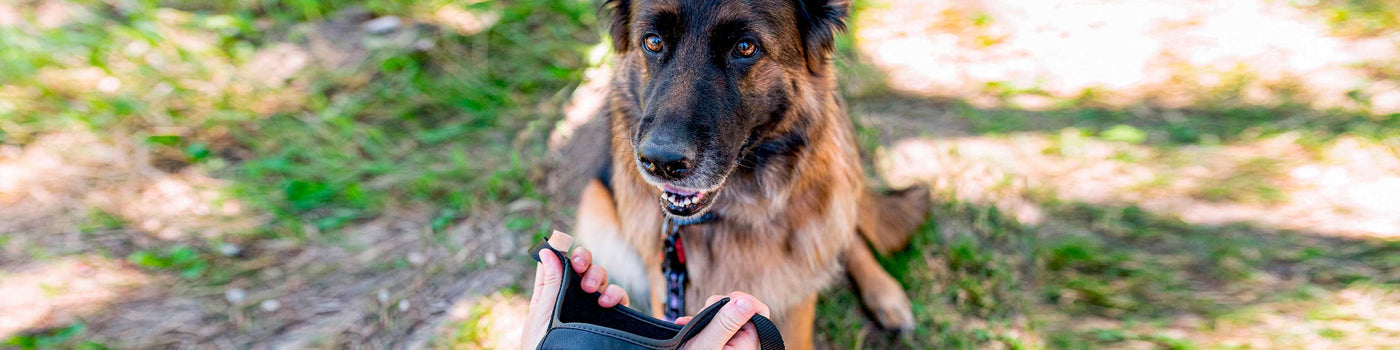 DOG MUZZLES