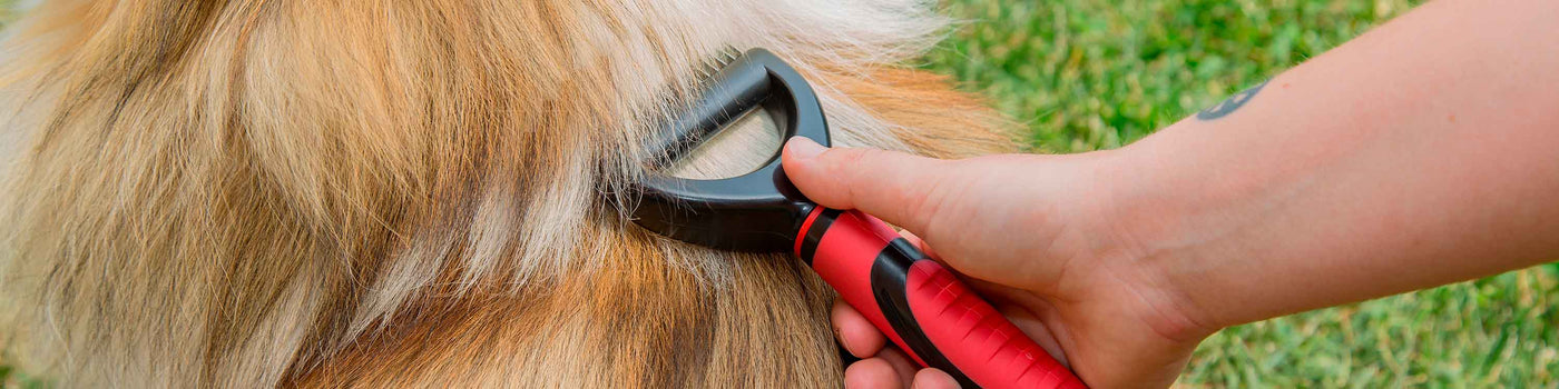 DOG CLIPPERS AND SCISSORS