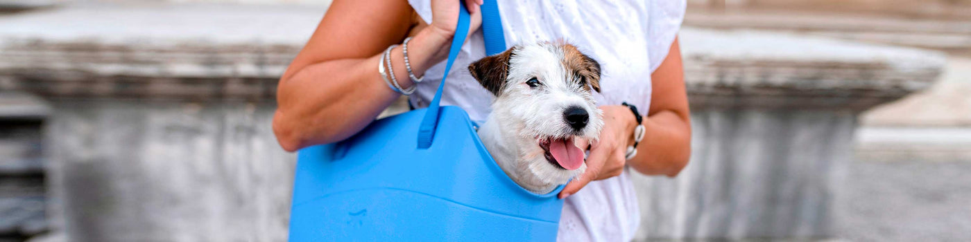 DOG CARRYING BAGS