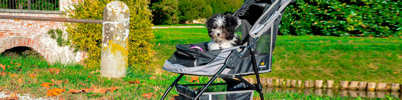 DOG STROLLERS AND TROLLEYS
