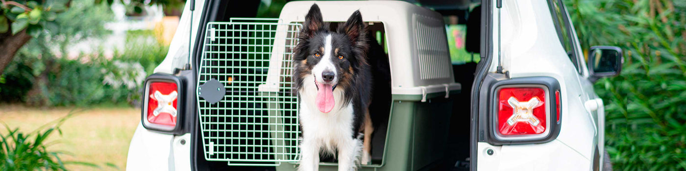 DOG CRATES AND CARRIERS