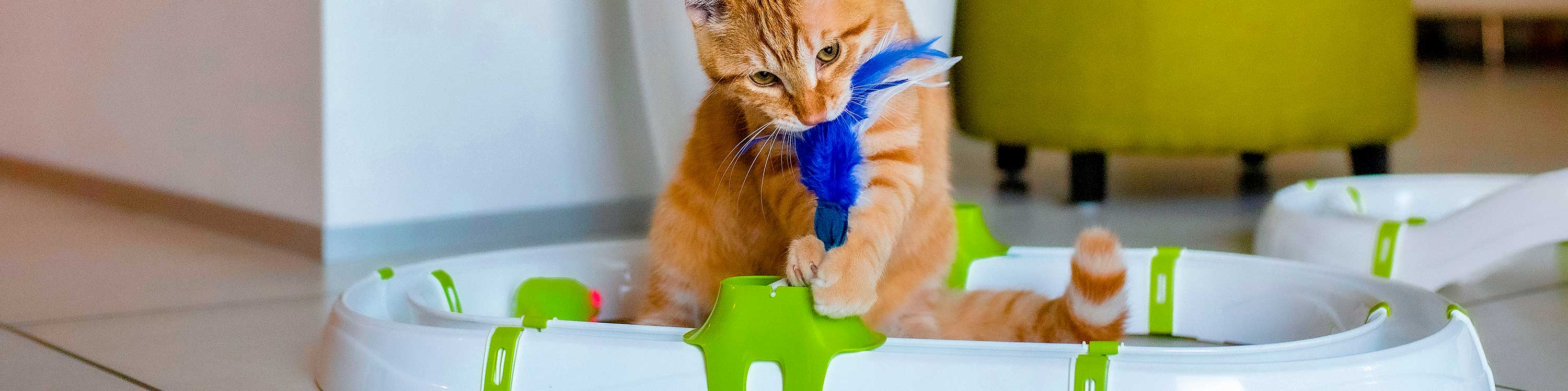 Plastic cat toys deals