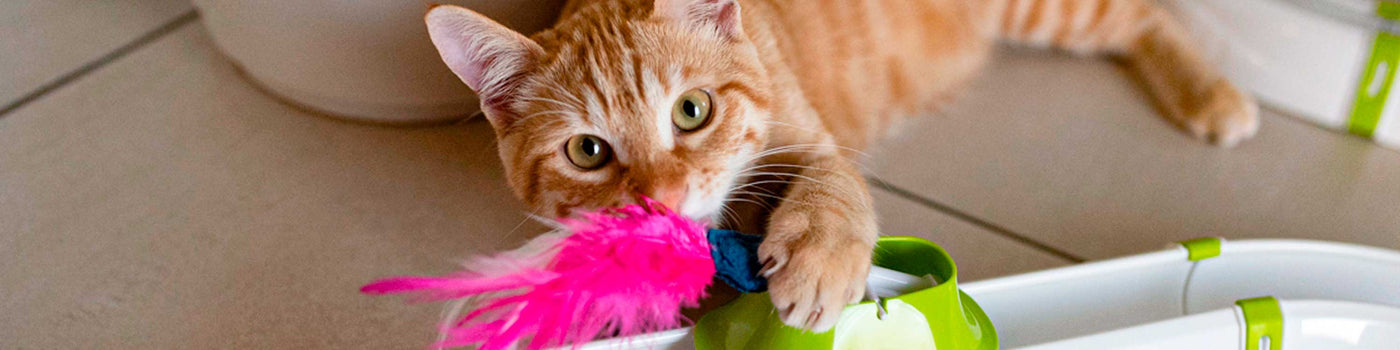 CAT TOYS ACCESSORIES