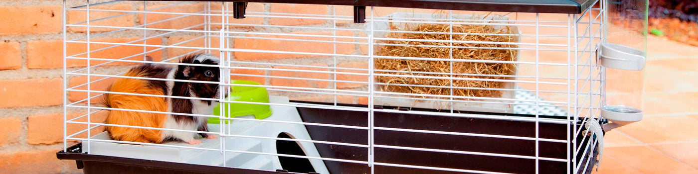 GUINEA PIG CAGES