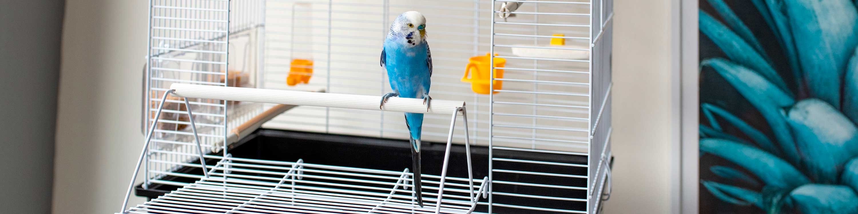 BIRD CAGES Ferplast U.K