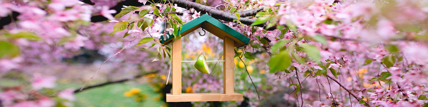 OUTDOOR BIRD FEEDERS