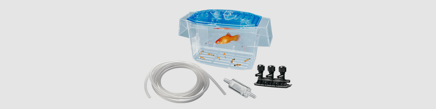 AQUARIUM AND FISH TANK INSTALLATION AND CARE