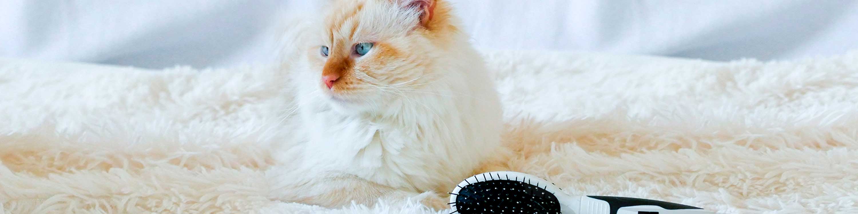 CAT BRUSHES AND COMBS Ferplast U.K