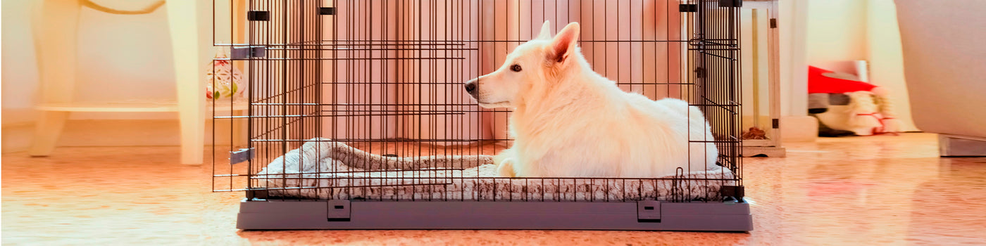CAGES & CRATES