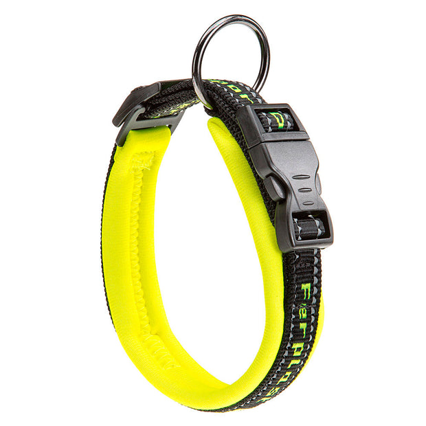 SPORT DOG C