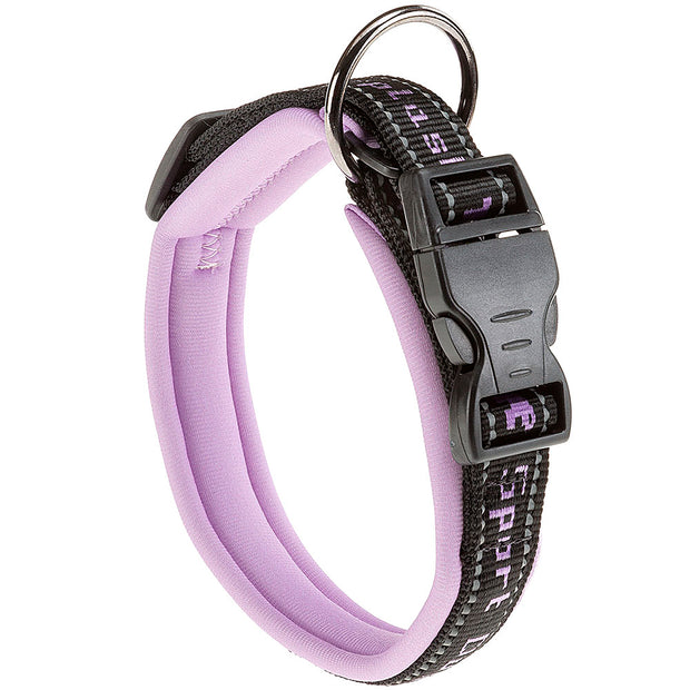 SPORT DOG C
