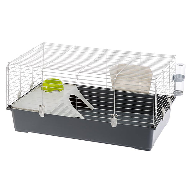 RABBIT 100