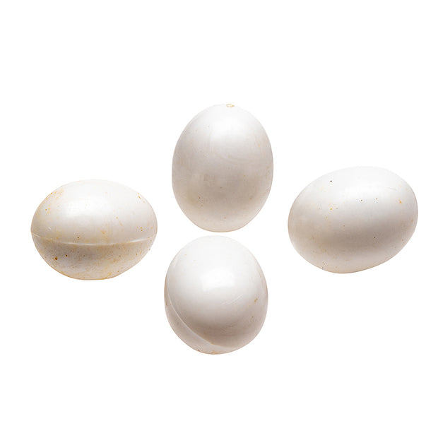 FPI 4308 FAKE EGGS FOR CANARIES