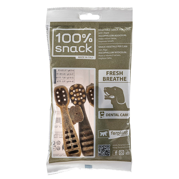100% SNACK FILLABLE -  TOOTHBRUSH ASCOPHILLUM