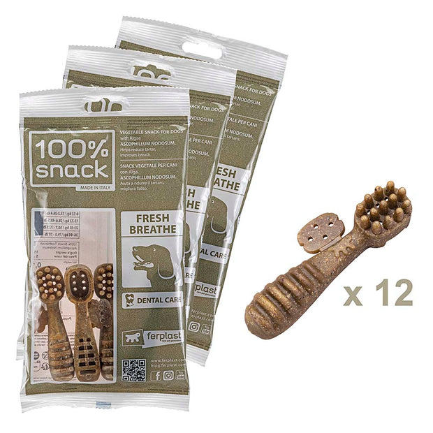 100% SNACK FILLABLE -  TOOTHBRUSH ASCOPHILLUM