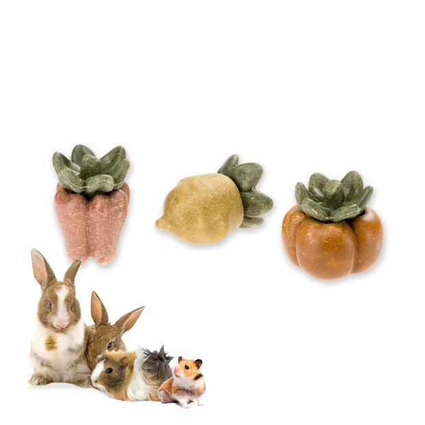 VEGGIE BITES VEG