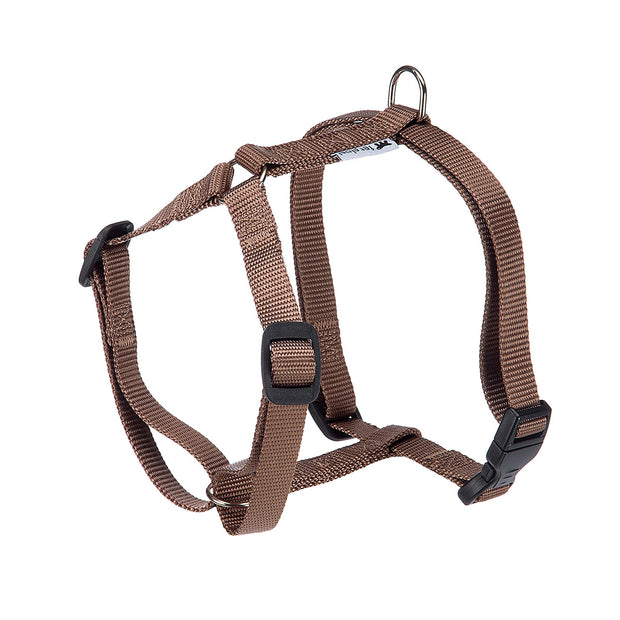 CHAMPION P