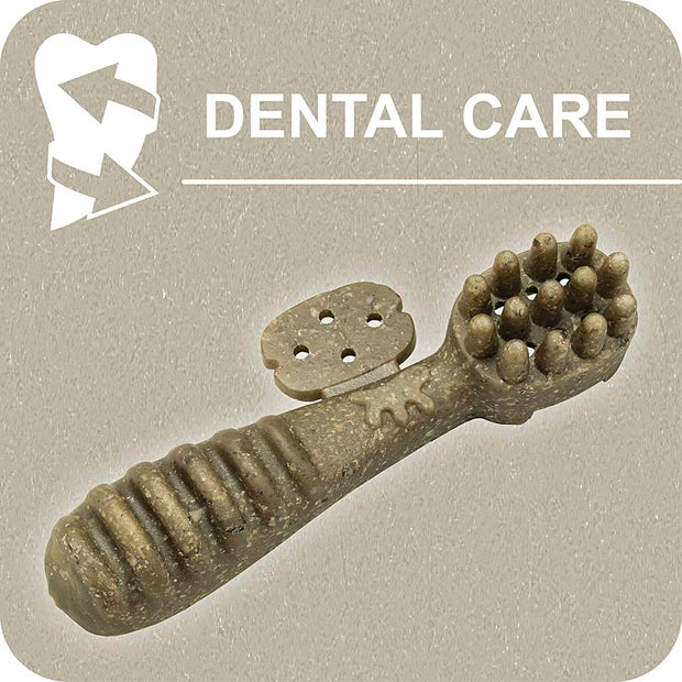100% SNACK FILLABLE - TOOTHBRUSH ASCOPHILLUM