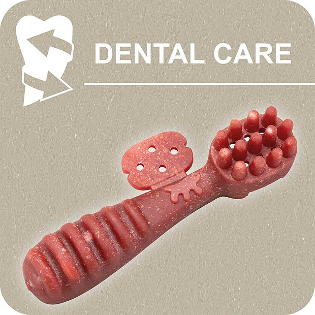 100% SNACK FILLABLE -  TOOTHBRUSH YUCCA