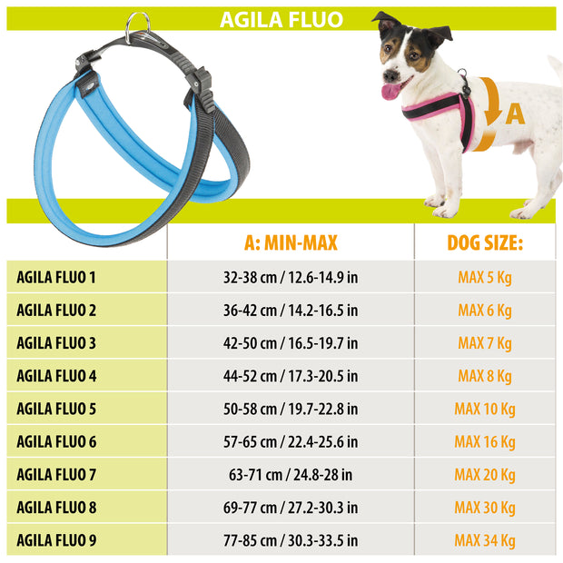 AGILA FLUO 1-9