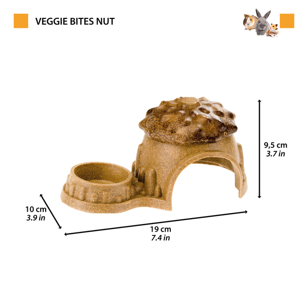 VEGGIE BITES HUT