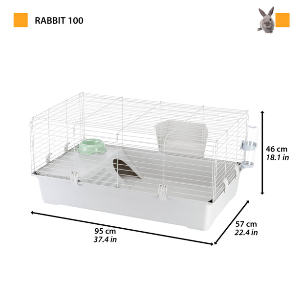 RABBIT 100