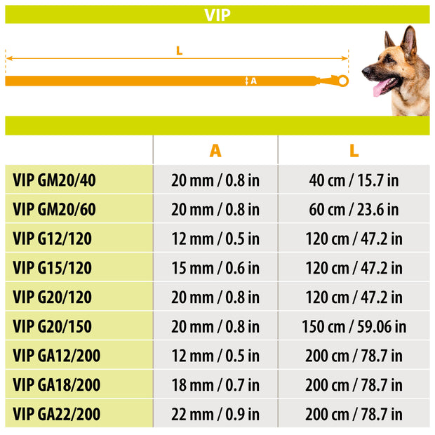 VIP GA