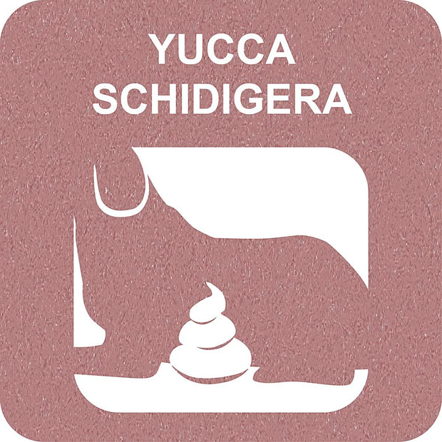 100% SNACK STICKS - FUSILLI YUCCA