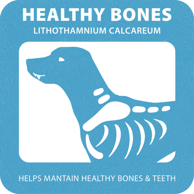 100% SNACK STICKS - FUSILLI LITHOTAMNIUM