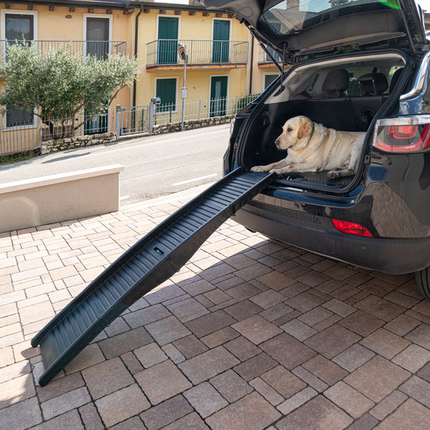 DOG RAMP