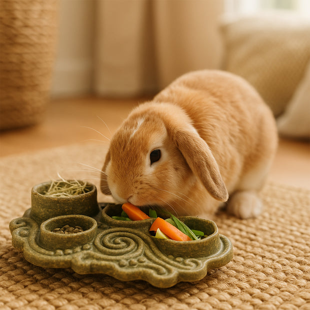 VEGGIE BITES BOWL          