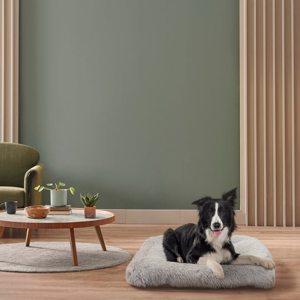 SHANTI Cat & Dog Cushion