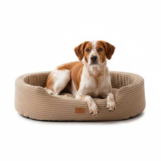 DANDY CORDUROY Sofa-style bed with removable cushion for dogs and cats