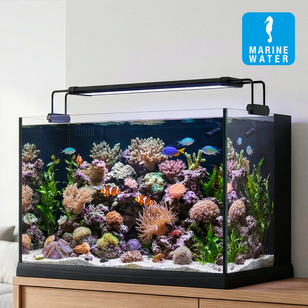 AQ-LUX REEF Lamp