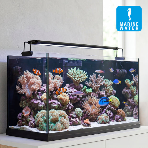 AQ-LUX REEF Lamp