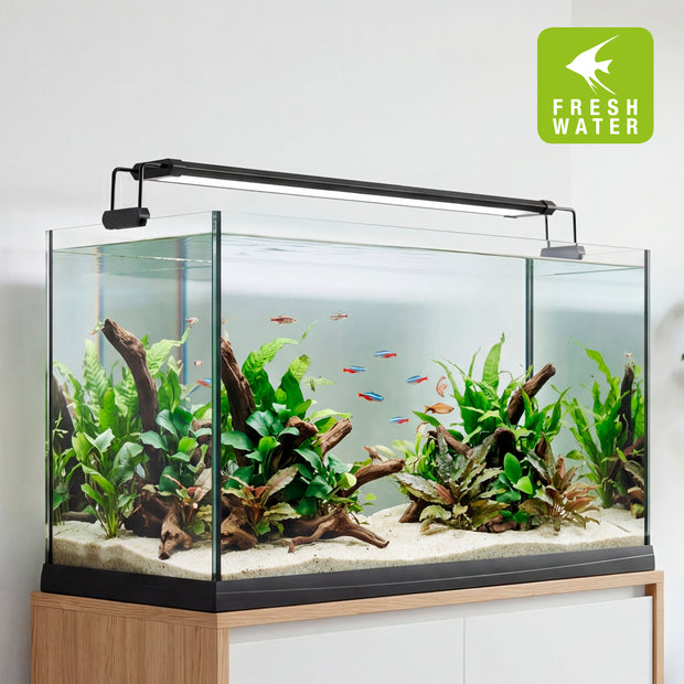 AQ-LUX FRESH Lamp