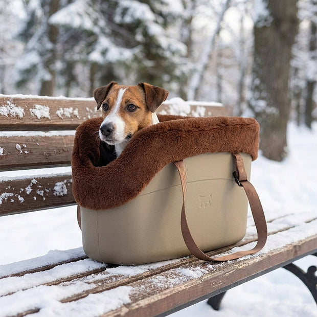 WITH-ME WINTER
