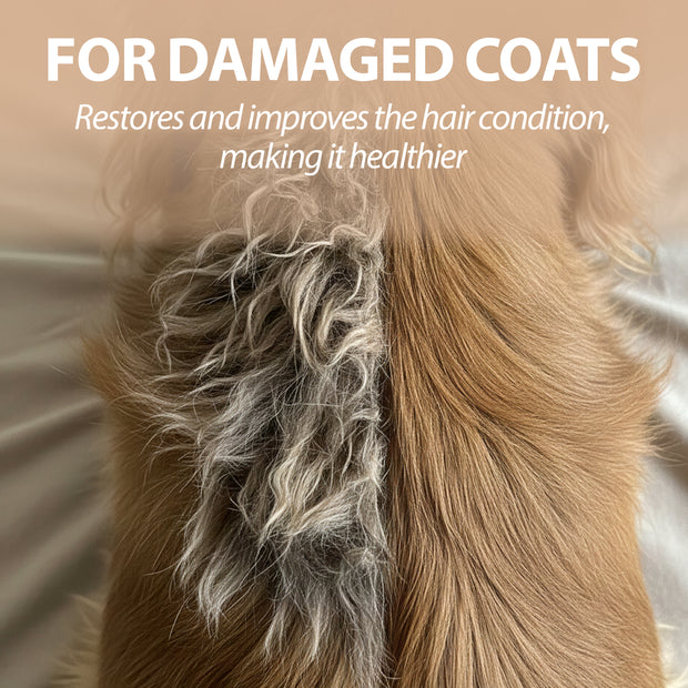 NATURÉ DOG SHAMPOO WITH GREEN CLAY
