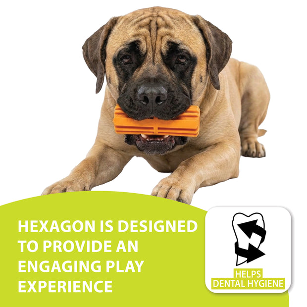 HEXAGON