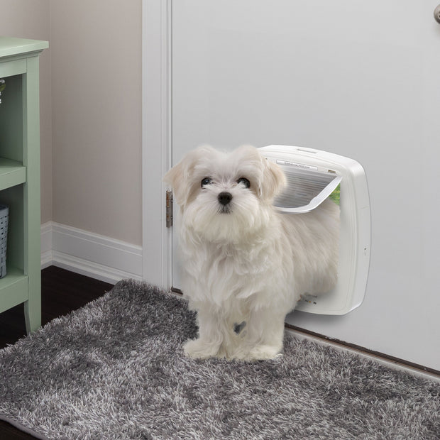 SWING MICROCHIP LARGE