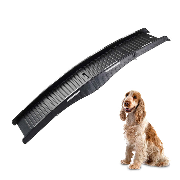 DOG RAMP