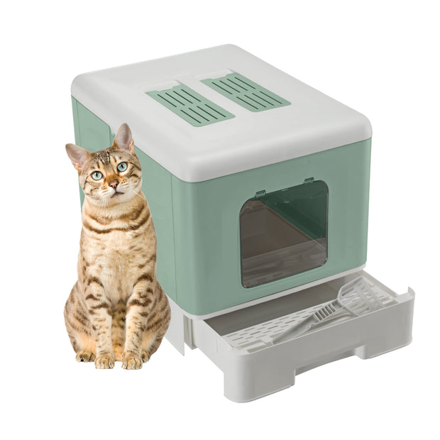 SAHARA Cat Litter box