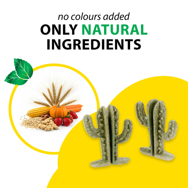 VEGGIE BITES CACTUS