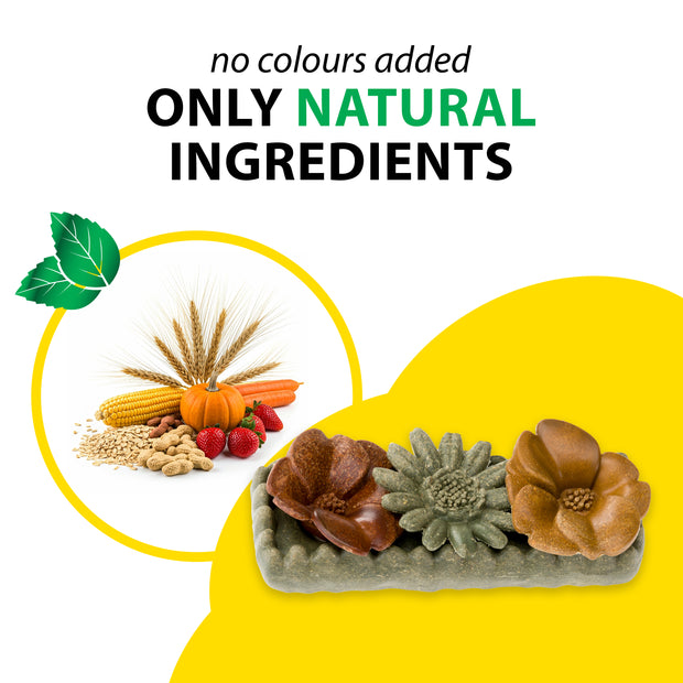 VEGGIE BITES FLOWERS