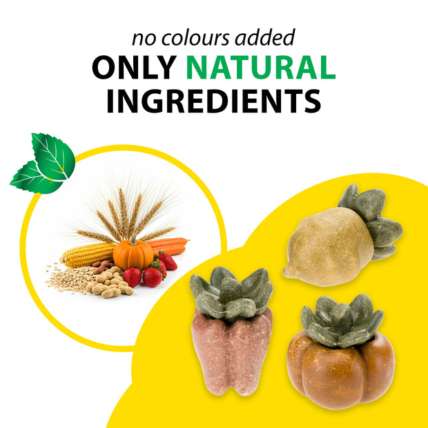 VEGGIE BITES VEG           