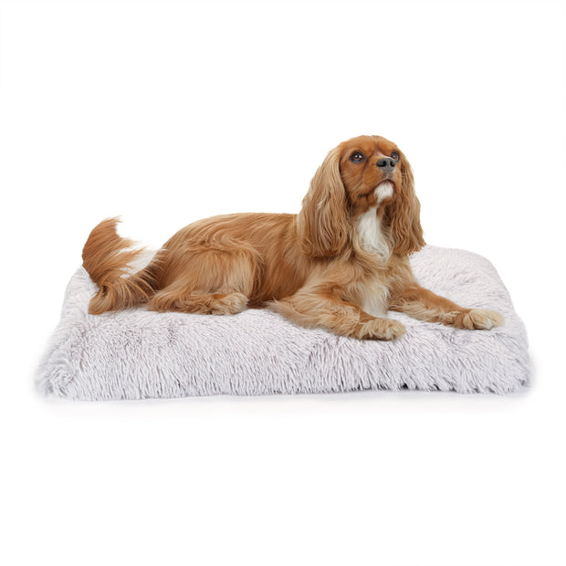 SHANTI Cat & Dog Cushion